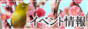 イベント情報